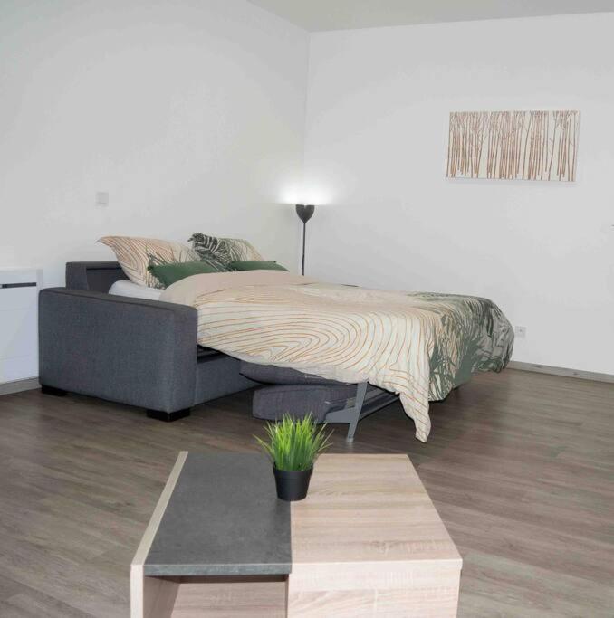 *Douceur Des Tropiques*Parisis Apartment Argenteuil Luaran gambar