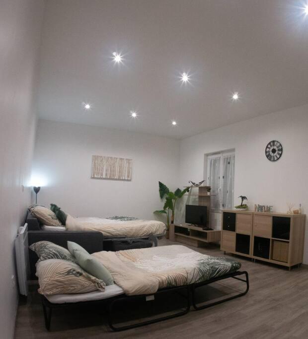 *Douceur Des Tropiques*Parisis Apartment Argenteuil Luaran gambar